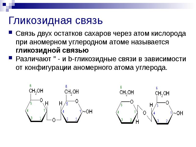 Презентация на тему полисахариды