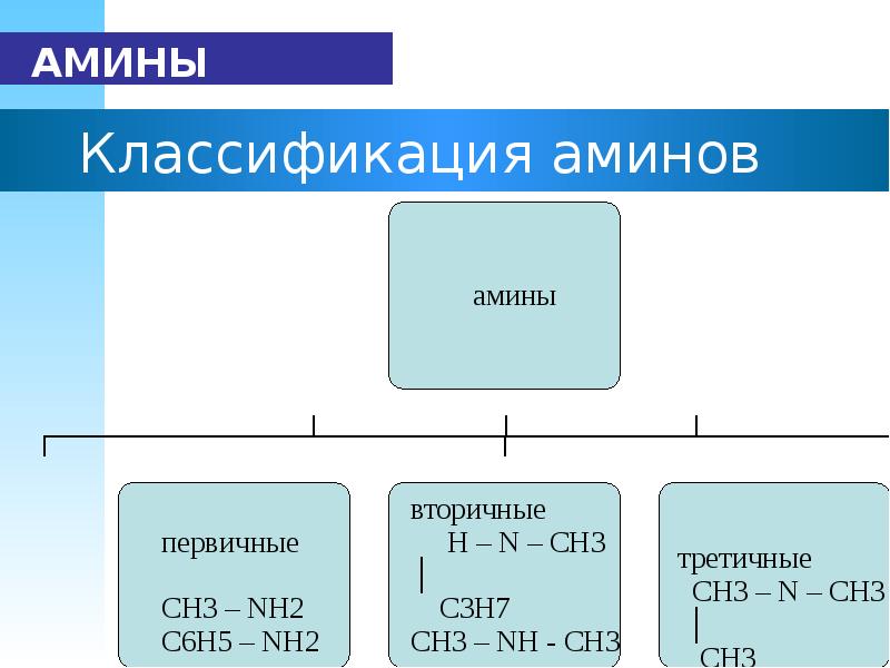 Амины презентация 10 класс углубленный уровень