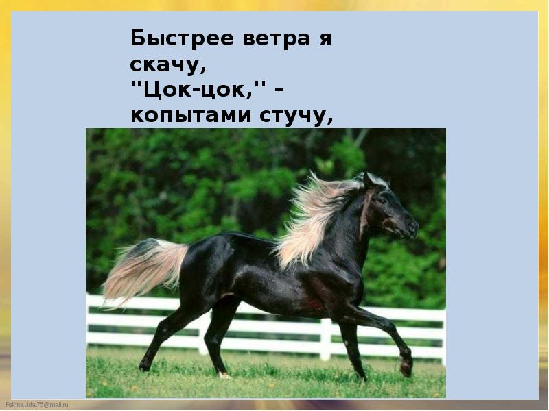 Лошадка цок цок цок. Цок. Конь быстрее ветра. Лошадь цок цок. Быстрее ветра лошади.