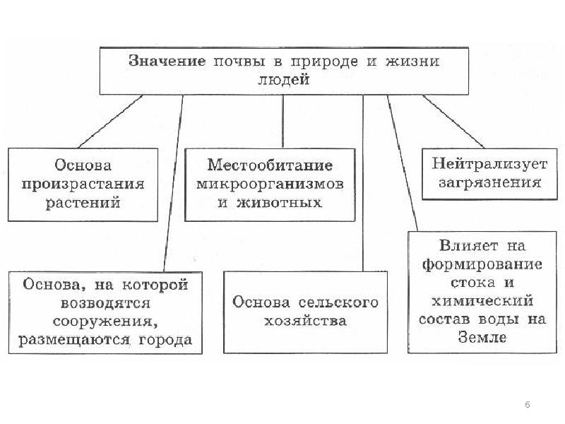 Схема значение почвы в природе и жизни людей