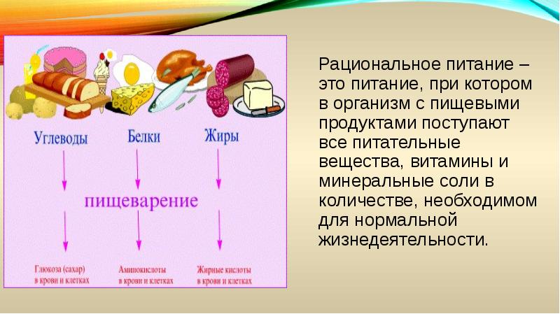 Презентация на тему рациональное питание