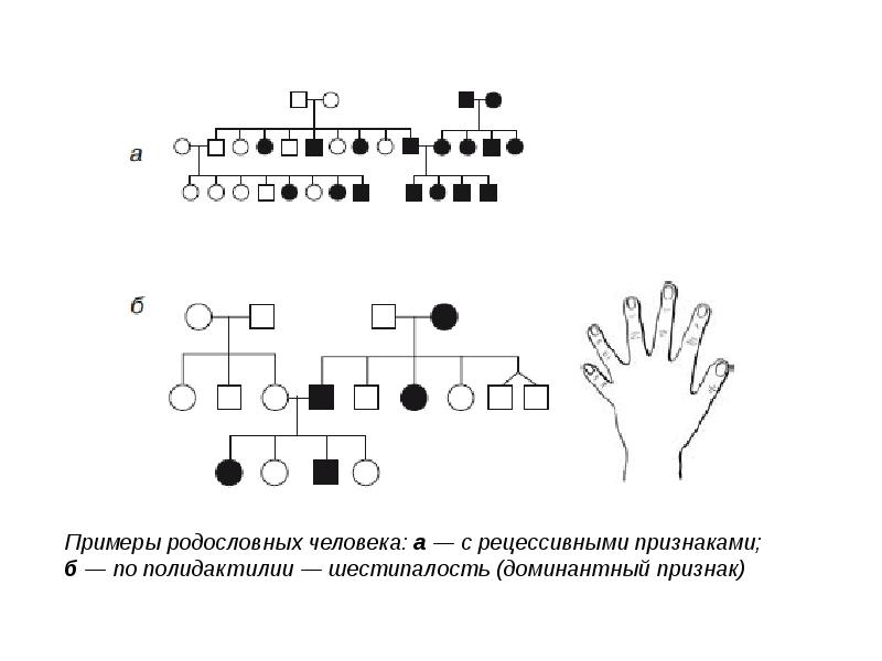 Формы наследования