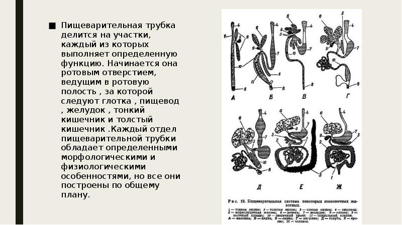 Составная часть схемы которая выполняет определенную функцию в изделии и не может быть разделена