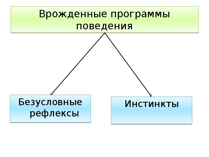 Сообщение врожденное и приобретенное поведение