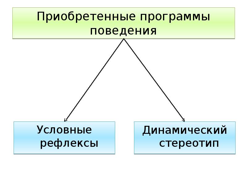 Врожденное и приобретенное поведение 8 класс биология презентация