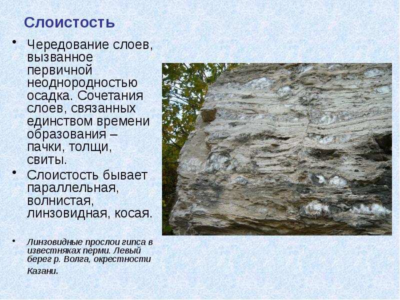 Слоистость Чередование слоев, вызванное первичной неоднородностью осадка. Сочетания слоев, связанных единством