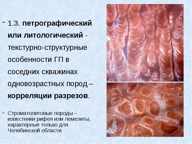 1.3. петрографический или литологический - текстурно-структурные особенности ГП в соседних скважинах