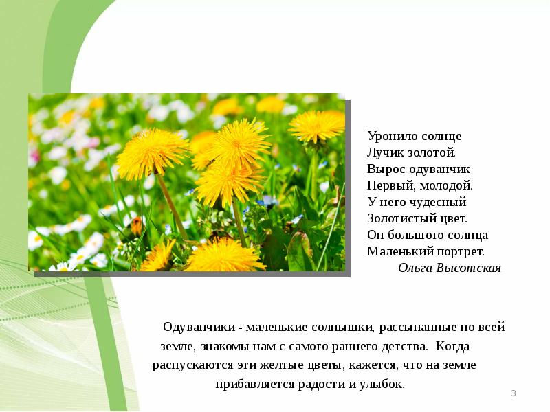 О высотская одуванчик з александрова одуванчик сравнение образов презентация 3 класс