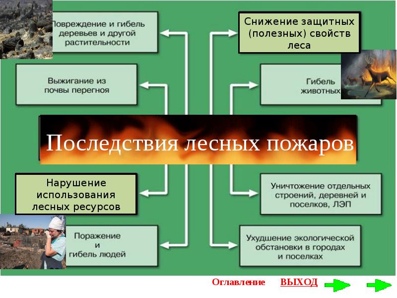 Характеристика лесных пожаров обж