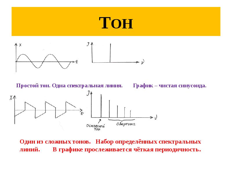 ТОН ТОН