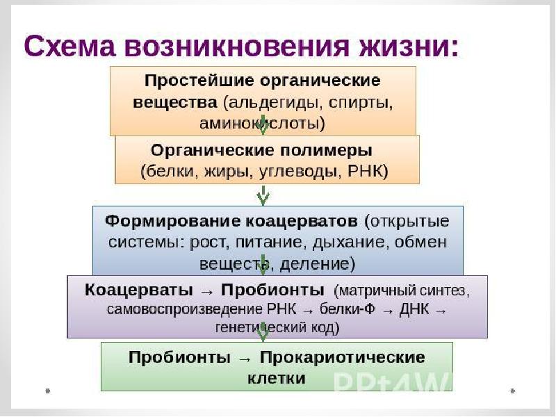 Теории эволюции теория бульона