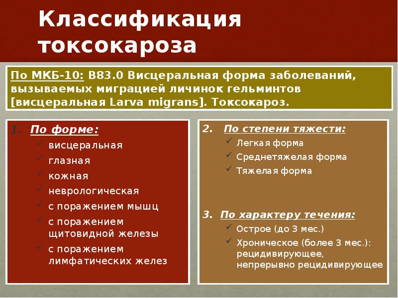 Токсокароз лечение у взрослых препараты схема лечения