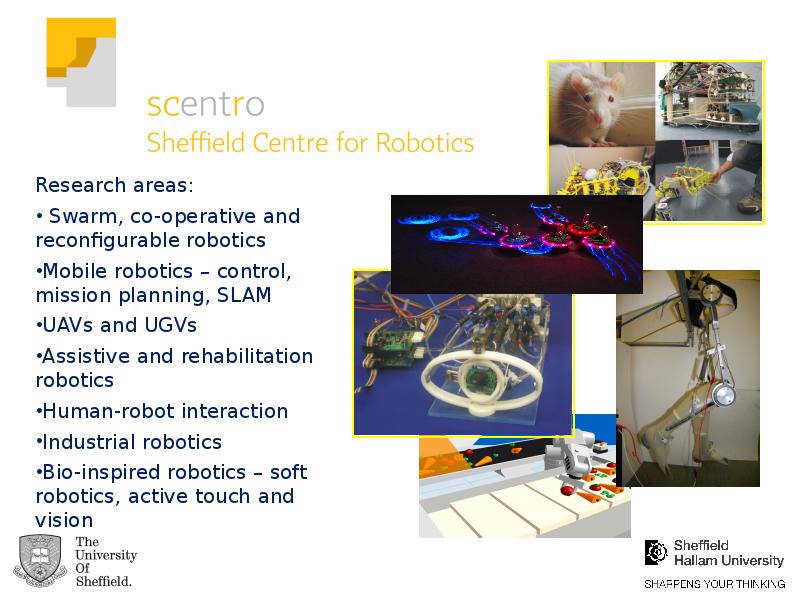 технология lesson study это. Research theme. Research theme. темы для ресерча. Research work's ppt.