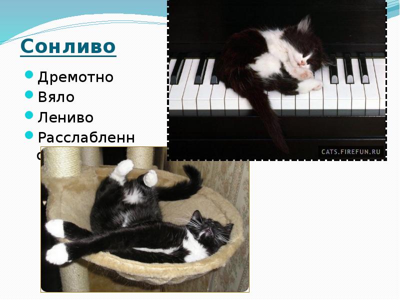 Сонливо  Дремотно Вяло Лениво Расслабленно