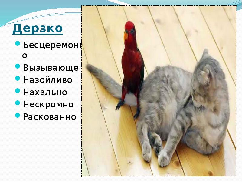 Дерзко  Бесцеремонно Вызывающе Назойливо Нахально Нескромно Раскованно