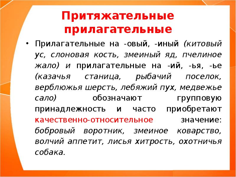 Притяжательные словосочетания. Притяжательные прилагательные. Образцы притяжательных прилагательных. Притяжательные прилагательные в русском. Притяжательные прилагательные в русском примеры.