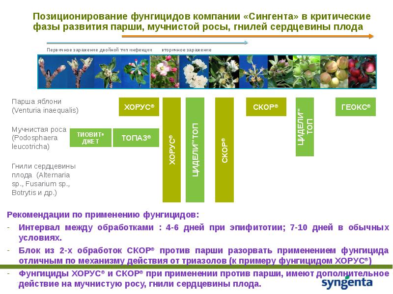 Схема защиты винограда