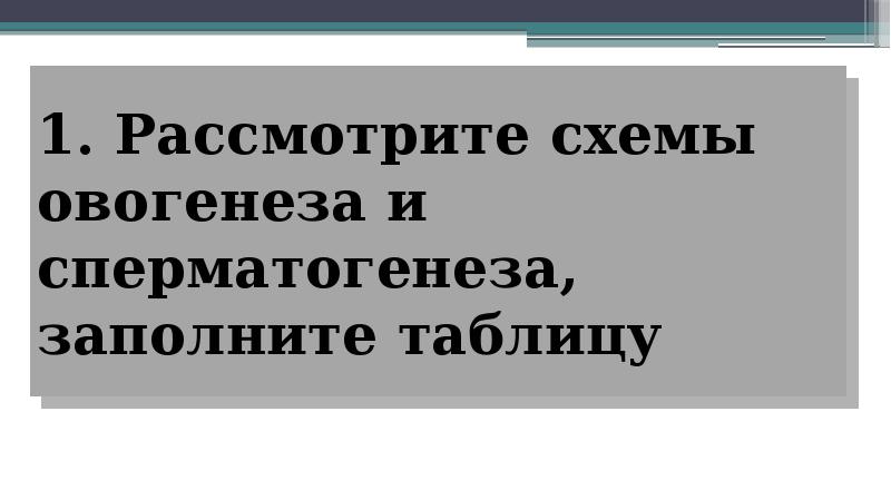 Гаметогенез: стадии, типы гамет и оплодотворение