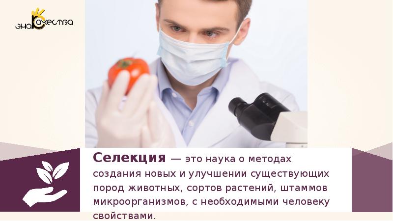 Занимается усовершенствованием и выведением новых сортов растений. Занимается усовершенствованием и выведением новых сортов растений