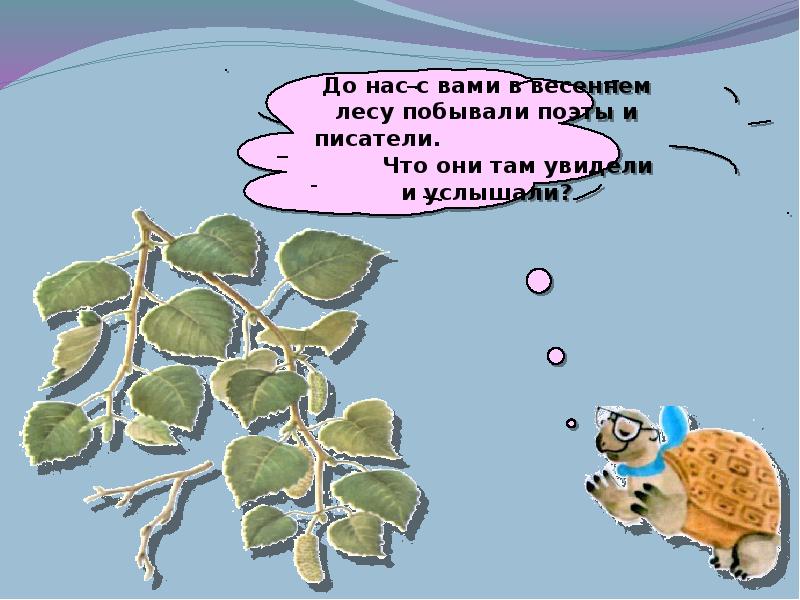 Почему соблюдать тишину в лесу. Соблюдай тишину в лесу. Окружающий мир. Хорошо у нас в лесу. Соблюдай тишину.
