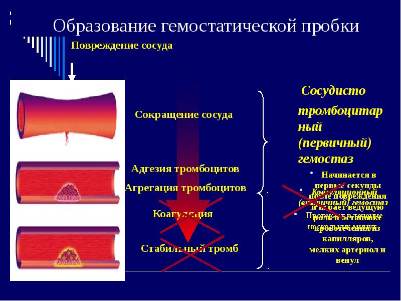 Топоров в н о структуре романа достоевского в связи с архаическими схемами мифологического мышления