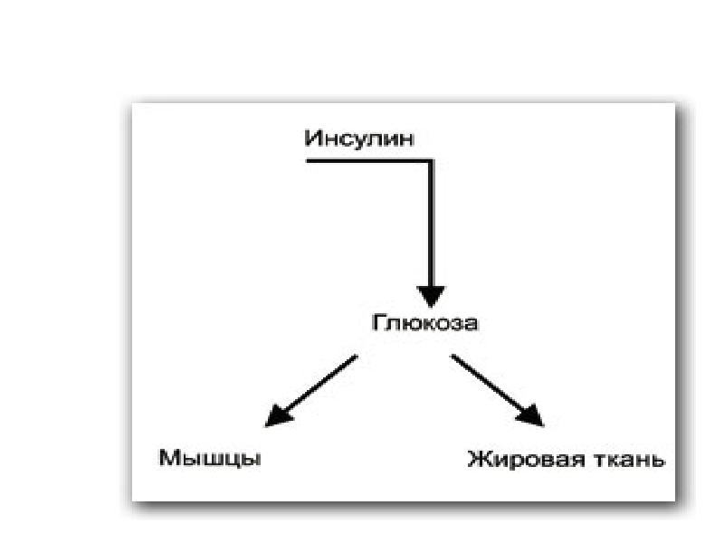 Антагонист дурака 12 букв. Герои антагонисты это в литературе. Схема контактов антагонистов. Гормоны антагонисты. Герои антагонисты это просты и словами.