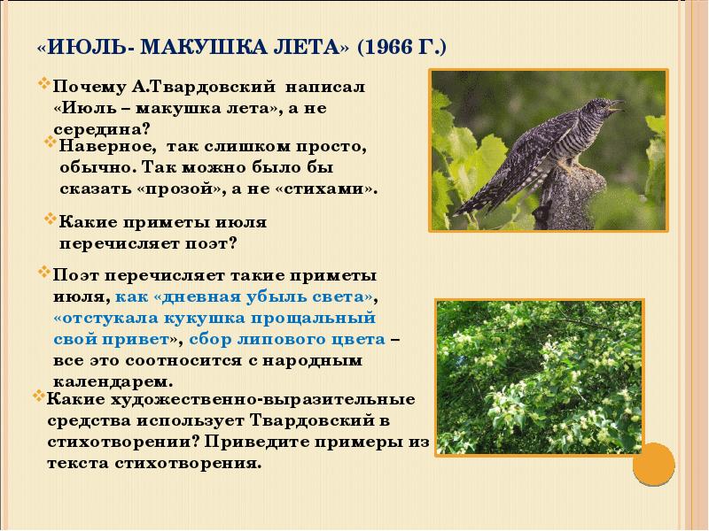 Анализ стихотворения по плану на дне моей жизни твардовский по плану