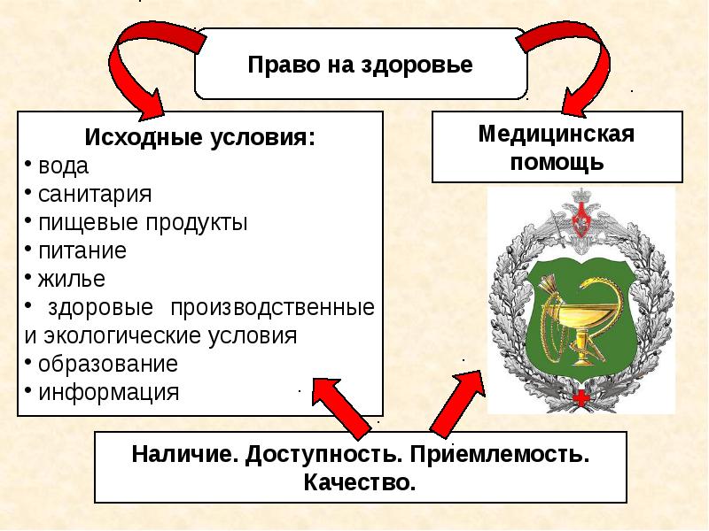 Социальные права обществознание 9 класс презентация