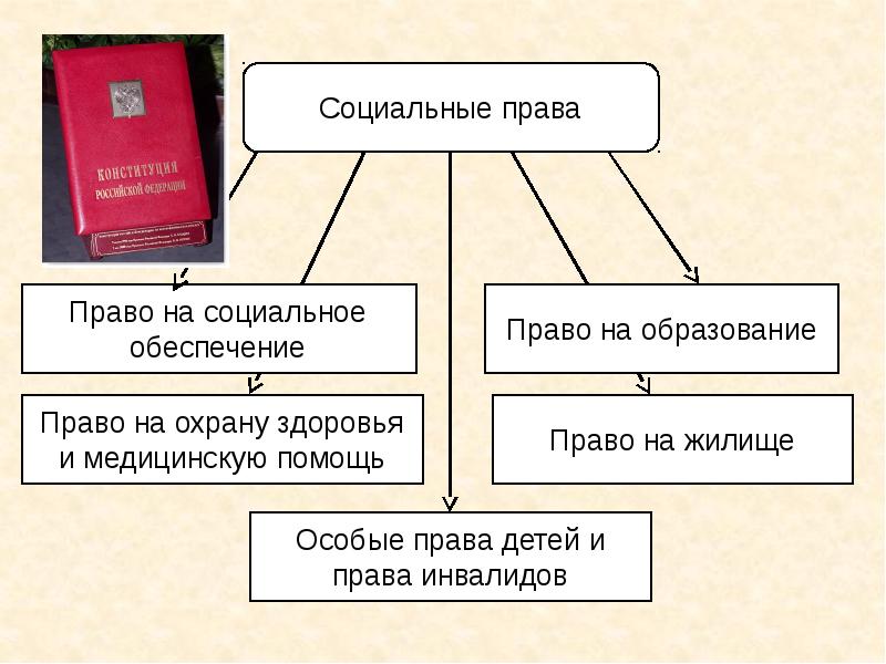 План урока социальные права