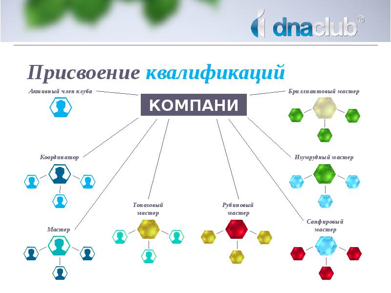 Линейный маркетинг план