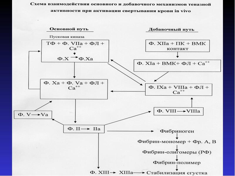 Тромбофилия лечение препараты схема лечения