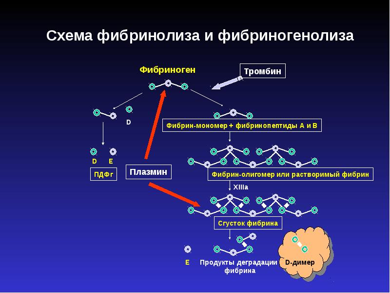 Тромбофилия лечение препараты схема лечения