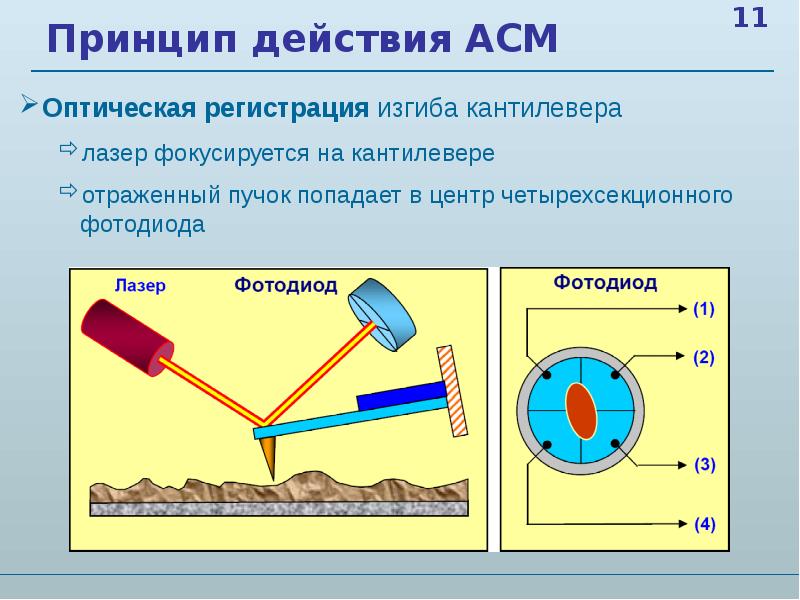 Атомно силовой микроскоп схема