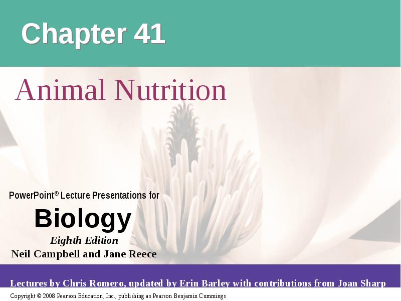 Chapter 41
Animal Nutrition Chapter 41
Animal Nutrition