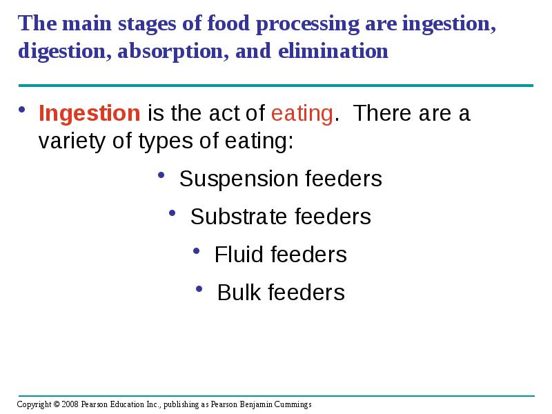 The main stages of food processing are ingestion, digestion, absorption, and The main stages of food processing are ingestion, digestion, absorption, and