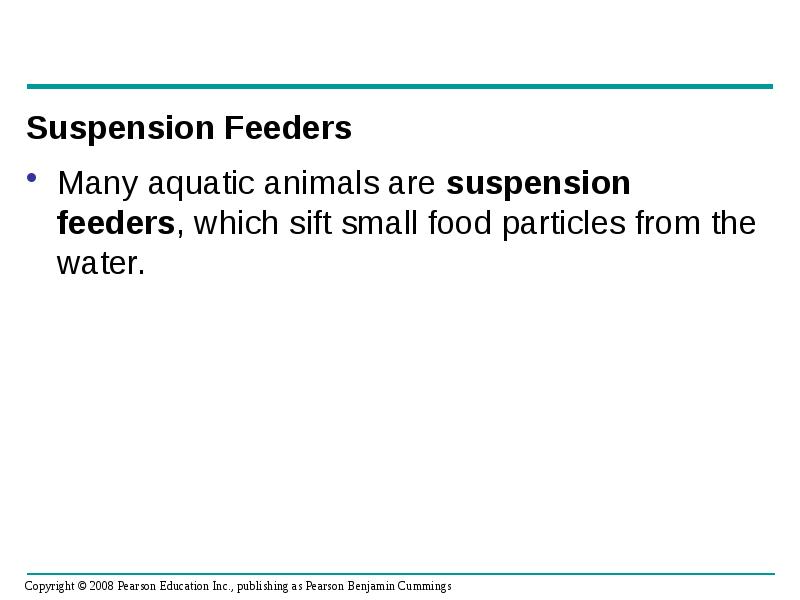 Suspension Feeders
Suspension Feeders
Many aquatic animals are suspension feeders, which Suspension Feeders
Suspension Feeders
Many aquatic animals are suspension feeders, which