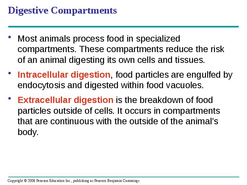 Digestive Compartments
Most animals process food in specialized compartments. These compartments Digestive Compartments
Most animals process food in specialized compartments. These compartments