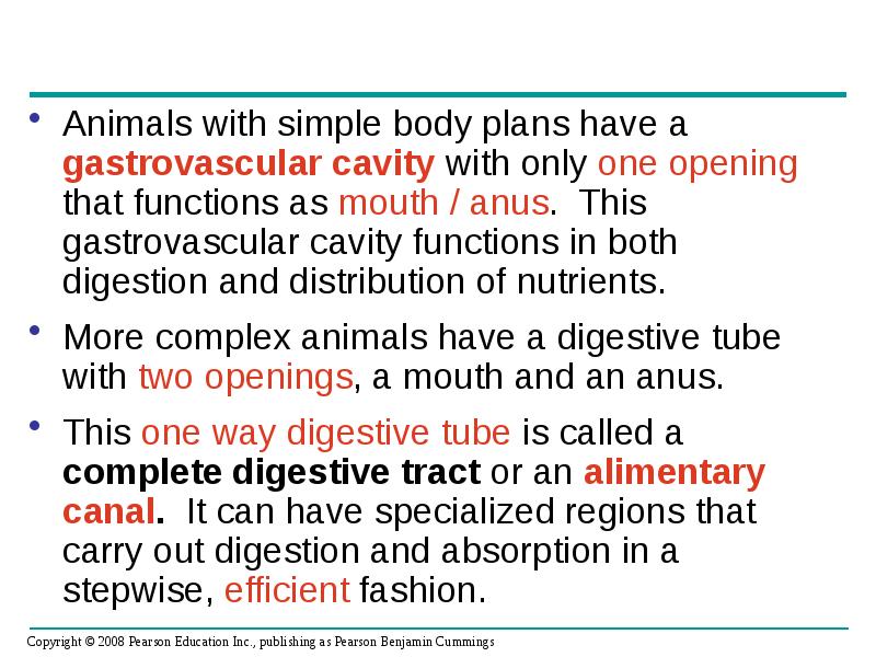 Animals with simple body plans have a gastrovascular cavity with only Animals with simple body plans have a gastrovascular cavity with only