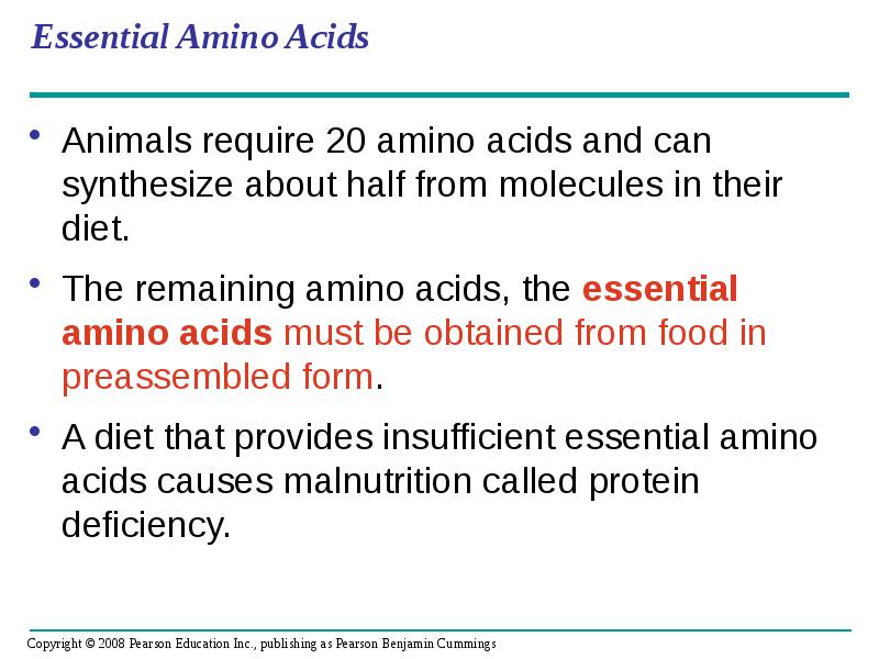 Essential Amino Acids
Animals require 20 amino acids and can synthesize Essential Amino Acids
Animals require 20 amino acids and can synthesize