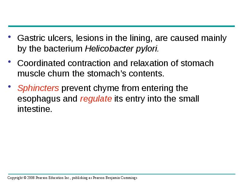 Gastric ulcers, lesions in the lining, are caused mainly by the Gastric ulcers, lesions in the lining, are caused mainly by the