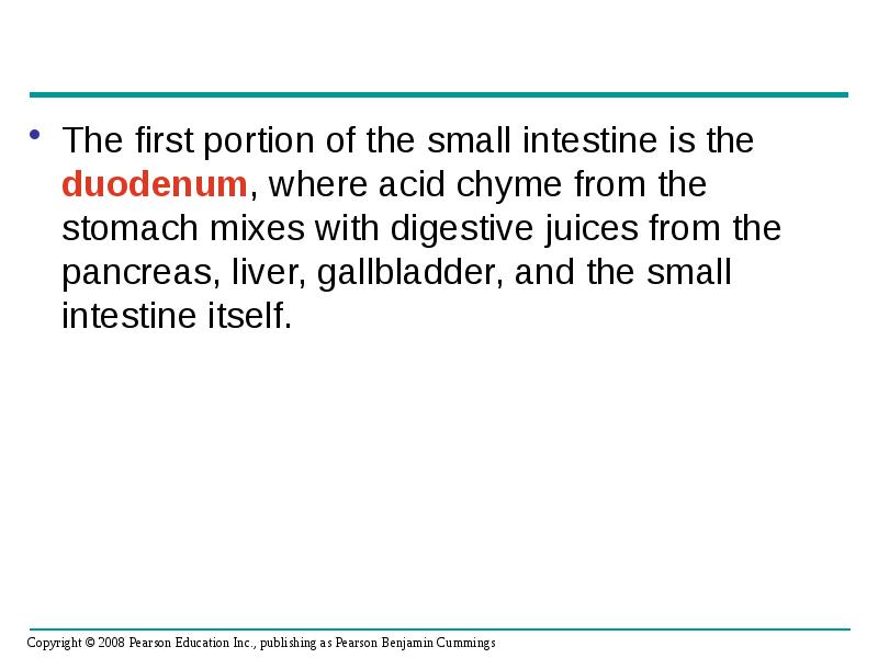 The first portion of the small intestine is the duodenum, where The first portion of the small intestine is the duodenum, where