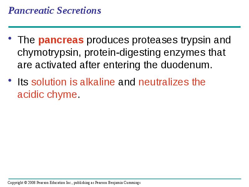 Pancreatic Secretions
The pancreas produces proteases trypsin and chymotrypsin, protein-digesting enzymes Pancreatic Secretions
The pancreas produces proteases trypsin and chymotrypsin, protein-digesting enzymes