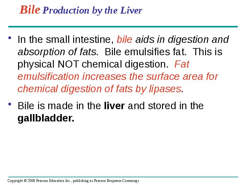 Bile Production by the Liver
In the small intestine, bile aids Bile Production by the Liver
In the small intestine, bile aids