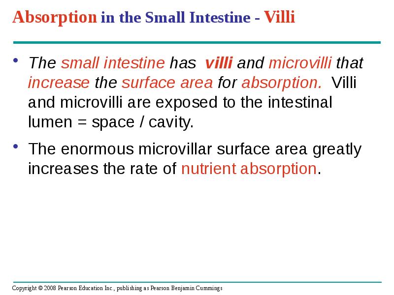 Absorption in the Small Intestine - Villi
The small intestine has Absorption in the Small Intestine - Villi
The small intestine has