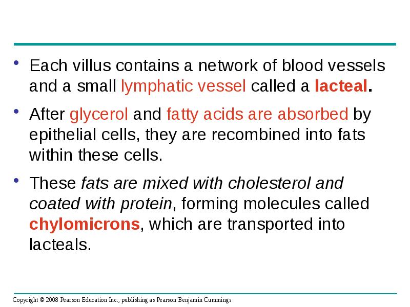 Each villus contains a network of blood vessels and a small Each villus contains a network of blood vessels and a small