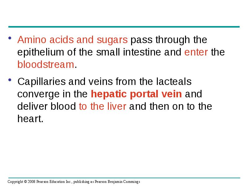 Amino acids and sugars pass through the epithelium of the small Amino acids and sugars pass through the epithelium of the small