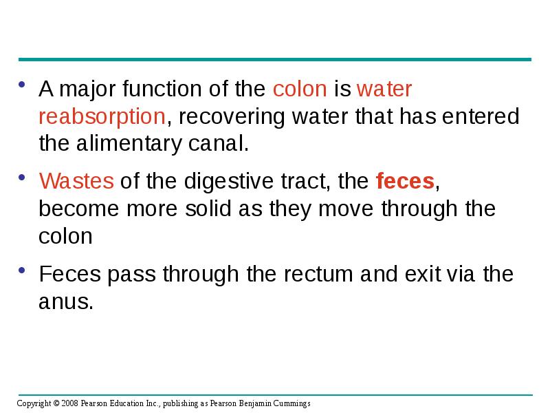 A major function of the colon is water reabsorption, recovering water A major function of the colon is water reabsorption, recovering water