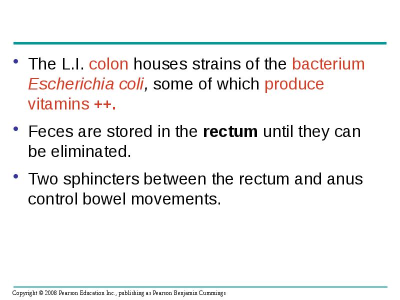 The L.I. colon houses strains of the bacterium Escherichia coli, some The L.I. colon houses strains of the bacterium Escherichia coli, some