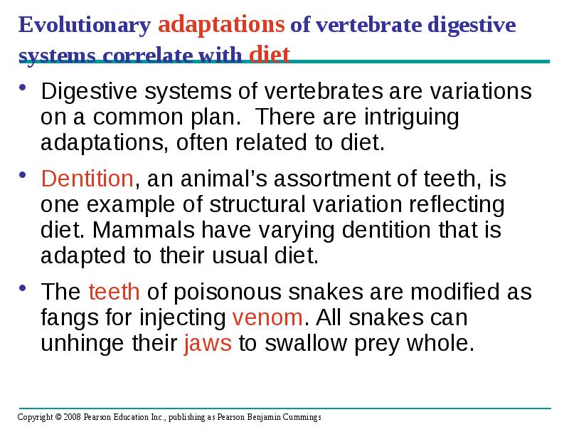Evolutionary adaptations of vertebrate digestive systems correlate with diet
Digestive systems Evolutionary adaptations of vertebrate digestive systems correlate with diet
Digestive systems