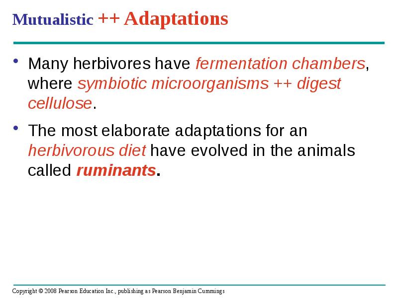 Mutualistic ++ Adaptations
Many herbivores have fermentation chambers, where symbiotic microorganisms Mutualistic ++ Adaptations
Many herbivores have fermentation chambers, where symbiotic microorganisms
